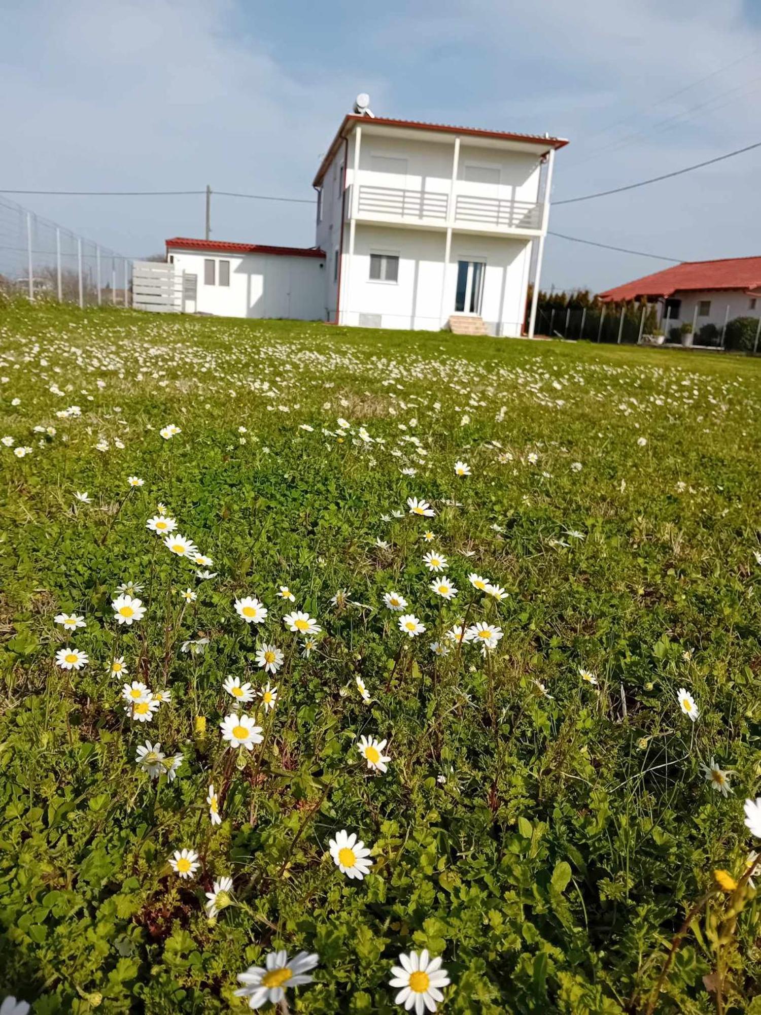 Countryside Apartments First Floor Trikala  Exterior foto
